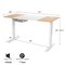 55 Inch x 28 Inch Electric Standing Desk with USB Port